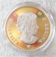 2008 Canada Vignettes $15 Dollars Silver Coin,  Victoria Early Early Strike 3497 Silver photo 2