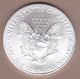 2013 American Silver Eagle Gem Bu 1 Troy Ounce.  999 Fine In 