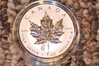 2013 Canadian 1 Oz Silver Snake Privy Reverse Proof Encapsulated photo