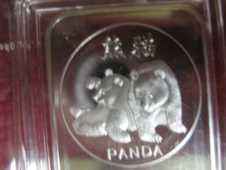 . 999 Fine Animals: Panda Silver Art Bar Eloquent photo