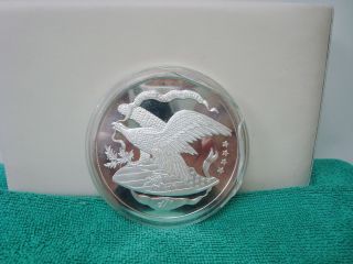 10 Oz Troy.  999 Fine Silver Round W/eagle Design & Transsouth On Other Side photo