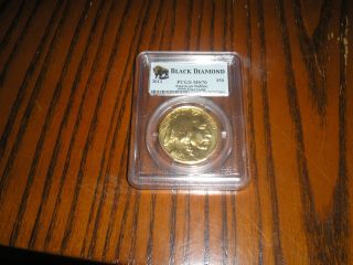 2013 1 Oz.  9999 American Buffalo Gold Coin Pcgs Ms70 photo
