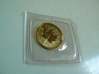 2004 1/20 Oz.  24 Carat Gold $1.  00 Canada Maple Leaf photo