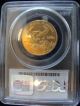 2001 $25 American Gold Eagle Pcgs Ms69 Gold photo 1