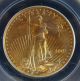 2001 $25 American Gold Eagle Pcgs Ms69 Gold photo 2