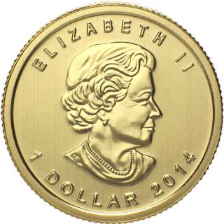 2014 Canada 1/20 Oz. .  9999 Fine Gold Maple Leaf $1 Coin Sku30279 photo