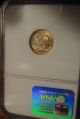 1/10 Oz 2003 Gold American Eagle $5 Ngc Ms - 70 Gold photo 1