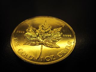 1 Oz Gold Canadian Maple Leaf Coin - Year 1983 - photo