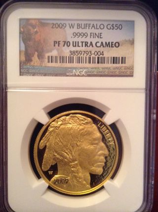 2009 - W 1 Oz American Gold Buffalo Ngc Pf - 70 Ultra Cameo W/buffalo Label photo