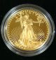 1993 1 Oz Gold American Eagle Coin - Brilliant Uncirculated Gold photo 1