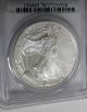 2007 W Burnished Silver Eagle Pcgs - Ms70 Flawless Gold photo 3