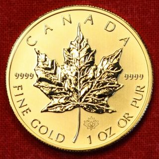 Canadian Gold Maple Leaf 2014 1 Oz.  999% Bu Great Collector Coin Gift photo