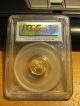 2009 $5 American Eagle Gold Coin 1/10th Oz,  Pcgs Ms - 70,  First Strike. Gold photo 3
