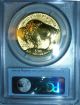 2013 - W $50 Gold American Buffalo Reverse Proof Black Diamond Pcgs Pr69.  999 Gold Gold photo 1