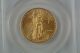 2004 Gold American Eagle $25 Coin - Pcgs Ms 69 - 1/2 Oz Fine Gold.  999 Gold photo 3