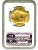 2010 American Buffalo $50 Ngc Ms70 (early Releases) Buffalo.  999 Gold Gold photo 1