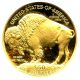 2006 - W American Buffalo $50 Ngc Proof 70 Dcam Buffalo.  999 Gold Gold photo 3