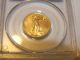 2006 Gold American Eagle 1/4 Oz Ounce Pcgs Ms 69 $10 Fine Gold Coin Gold photo 9