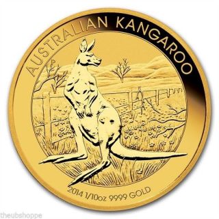 One (1) 2014 Australia 1/10 Troy Oz.  9999 Fine Gold Lunar Kangaroo $15 Coin photo