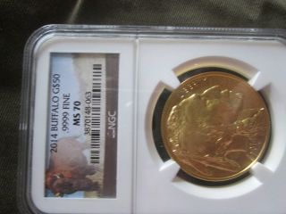 $50 9999 2014 Gold Buffalo photo