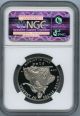 2004 $100 (1 Oz. ) State Platinum Eagle Ngc Ms70 Platinum photo 1