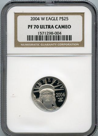 2004 W $25 (1/4 Oz. ) Proof 70 Platinum Eagle Ngc Pr70 photo