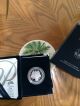2008 - W Platinum Eagle 1 Oz Proof Coin In Package W/coa Platinum photo 1