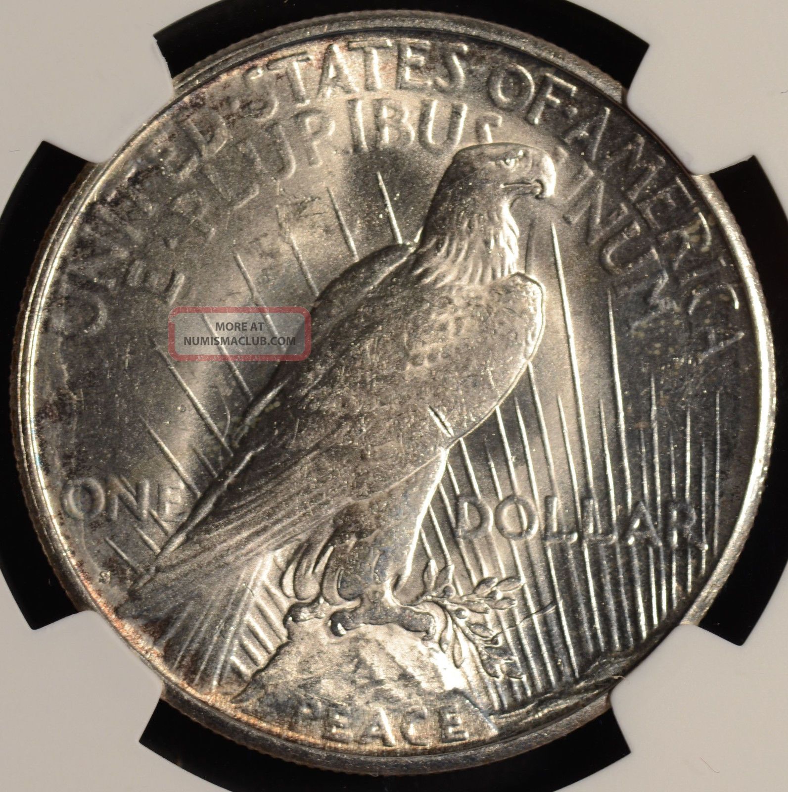 1923 - S $1 Peace Dollar Ngc Ms63