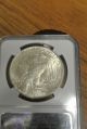 1925 Peace Silver Dollar Coin Rare Ngc Ms 63 Dollars photo 3