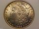 1885 - O Morgan Silver Dollar $1 Awesome Coin Ngc Ms65 Ms 65 M002 Dollars photo 2