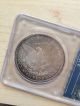 1885 - O $1 Morgan Silver Dollar Pcgs Ms64 Dollars photo 1