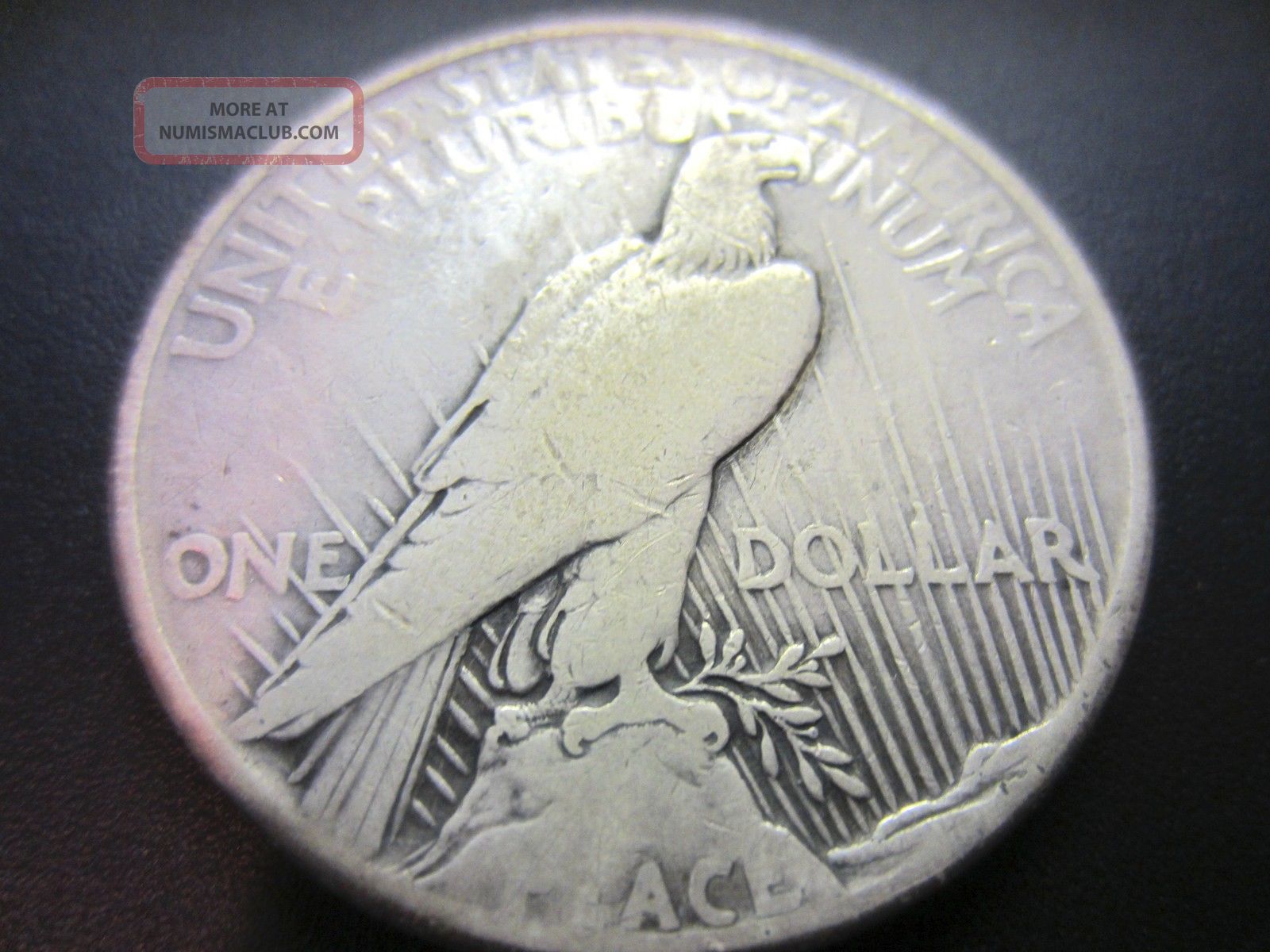 1921 Peace Silver Dollar Rare