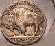 1935 - P Buffalo Nickel With Doubling Coins: US photo 2