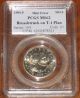 1999 P Susan B Anthony Dollar Error Broadstruck Pcgs Ms62 Graded Sba Large Coin Coins: US photo 1