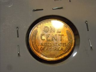 1957 D One Cent Toned Reverse Uncirculated L24 photo