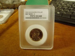 2005 S Sacagawea Dollar photo