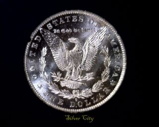 1884o Gsa Anacs Ms62 Pl Morgan Silver Dollar 1884 O Prooflike photo