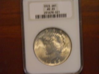 1923,  Ngc,  Ms65 Certified Peace Dollar photo