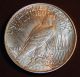 1923 - P? Peace Dollar United States Silver Coin - Great Detail - Dollars photo 1