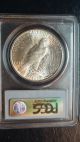 1923 S Peace Dollar Pcgs Ms62 Liberty Silver $1 San Francisco Coin Dollars photo 1