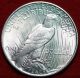 Uncirculated 1925 Silver Peace Dollar S/h Dollars photo 1