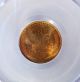 1909 Vdb Lincoln Cent Pcgs Graded Ms64rd Uncirculated Own A Legendary Rare Coin Small Cents photo 2