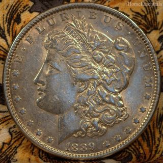 Dollar Morgan 1889,  Choice Uncirculated Plus,  Great Luster photo