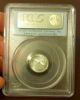 Pcgs Ms 69 2007 Platinum Eagle First Strike $10 1/10 Oz Ebucks Eligible Coins: US photo 1