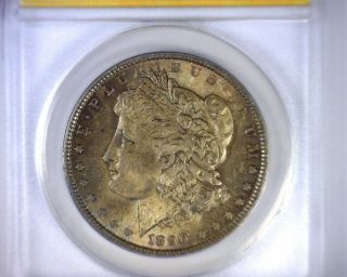 Ms63 Anacs Beautifully Toned 1890 Vam 1 Morgan Silver Dollar U.  S.  Coin 1890 photo