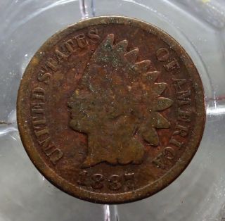 Good 1887 - P Indian Head Cent. . . . . . . . . .  10947 photo