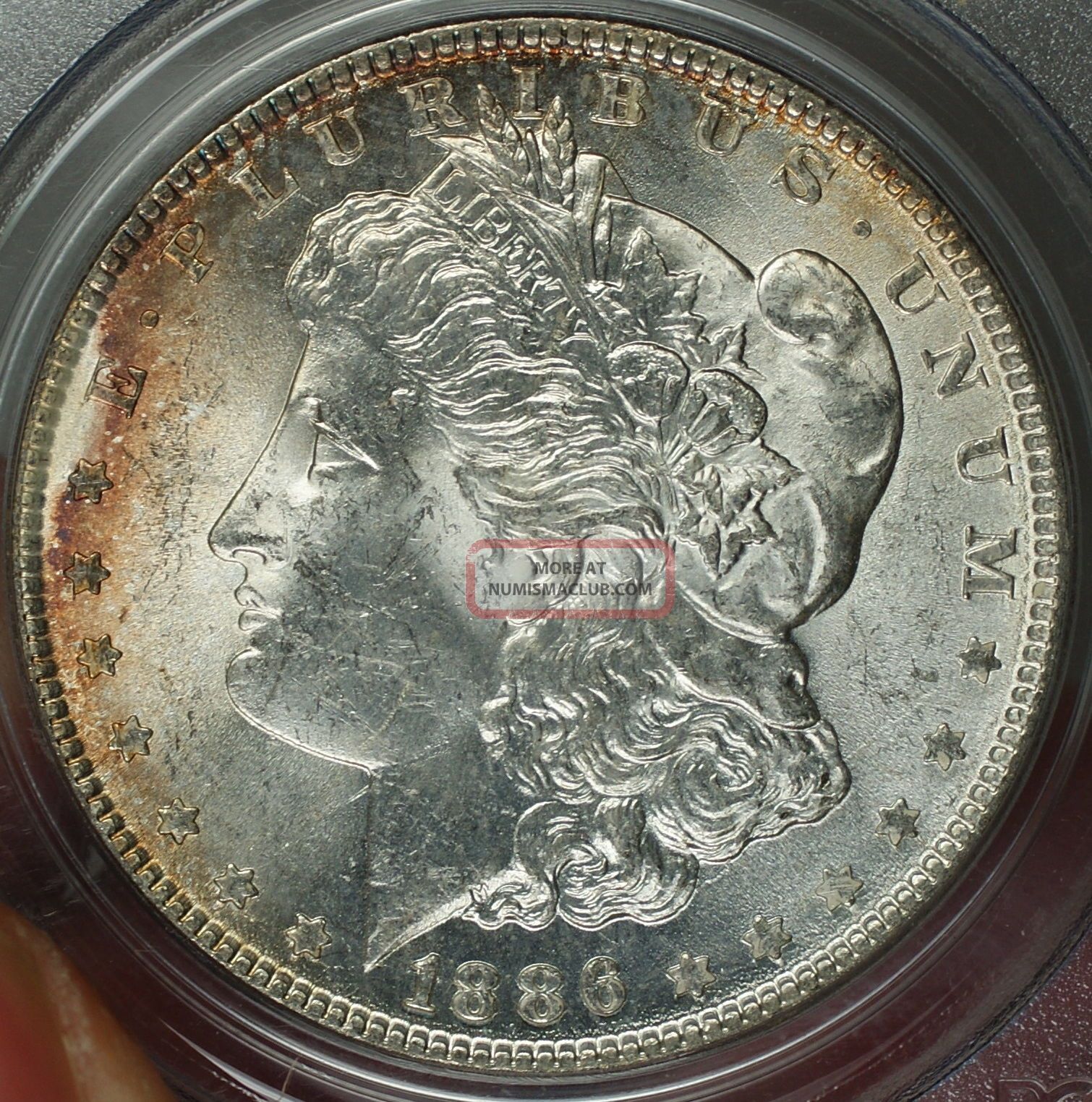 1886 Morgan Silver Dollar $1 Coin Pcgs Ms - 62 Lt Better Coin Rl