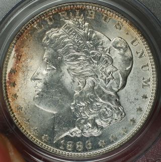 1886 Morgan Silver Dollar $1 Coin Pcgs Ms - 62 Lt Better Coin Rl photo