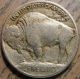 1913 - P Type 1 Buffalo Nickel Mid - Grade Details 82 Nickels photo 1