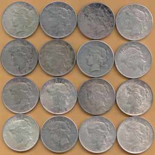 Group Of 16 1$ Peace Silver Dollar Look photo